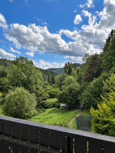 DG_Blick vom Balkon