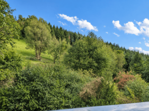 EG_Blick vom Balkon
